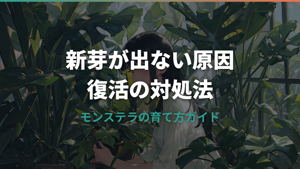 モンステラの新芽が出ない原因と復活させる対処法