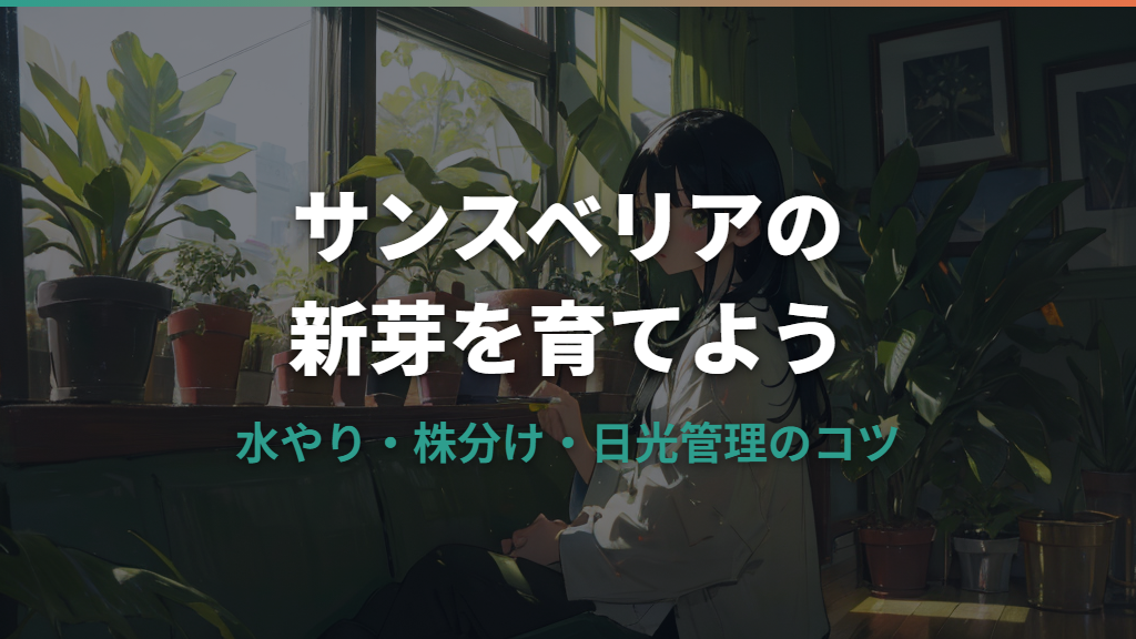 サンスベリアの真ん中から出る新芽の育て方と増やし方