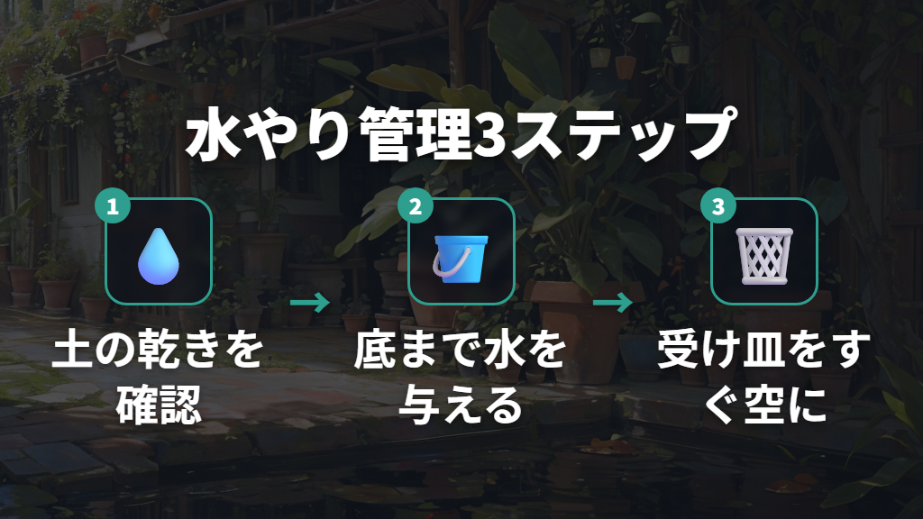 ガジュマルの水やり頻度と受け皿の水捨てがコバエ予防の基本