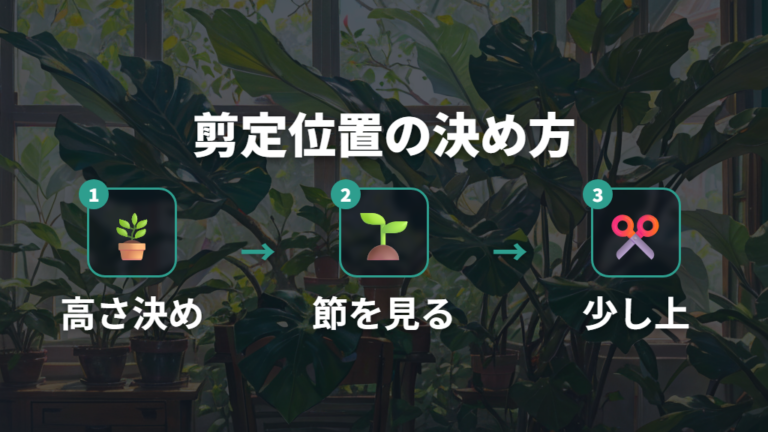 Y字にする剪定位置の決め方を成長点から見る