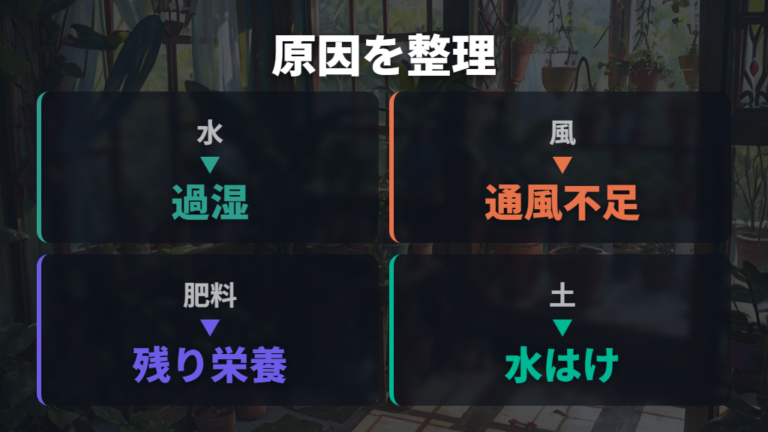土にカビが生える主な原因を水・風・肥料で整理する