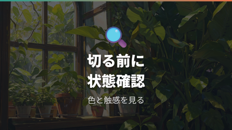 枯れた葉は切るべきかを状態で判断する