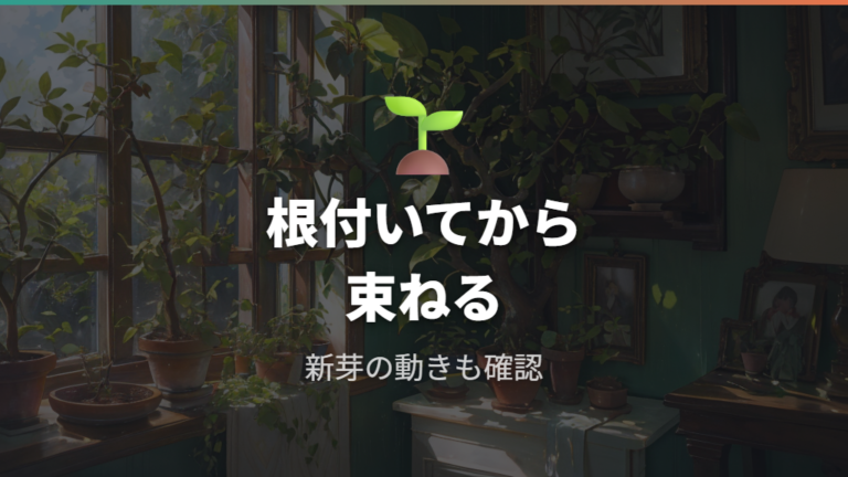 挿し木を束ねて植えても大丈夫?根付いてから考える