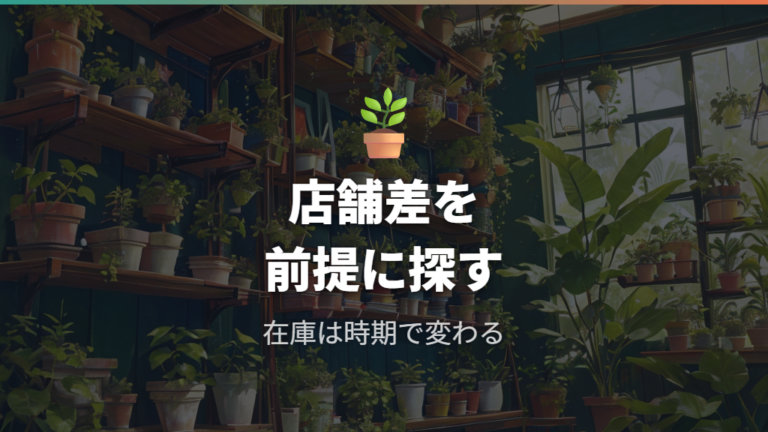 売り場と入荷時期の目安は店舗差を前提に見る