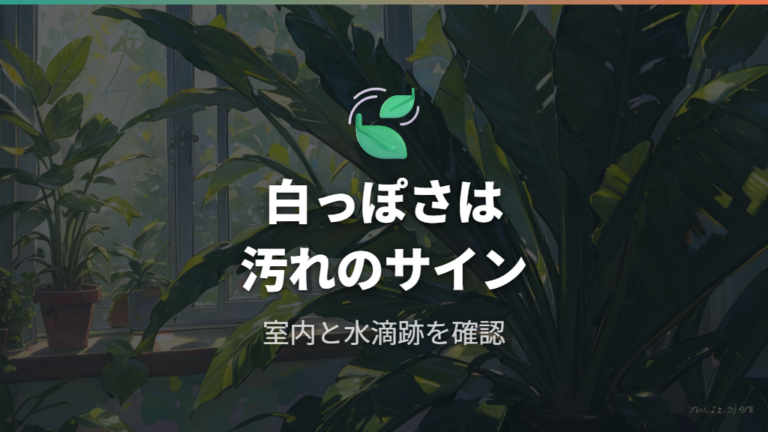 葉にほこりがたまる原因は室内環境と水滴跡にある