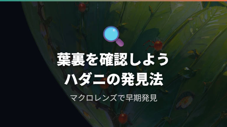 ウンベラータのハダニ画像で確認すべき葉裏の特徴
