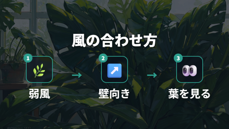 風を当てる向きと距離の目安は葉の揺れで調整する