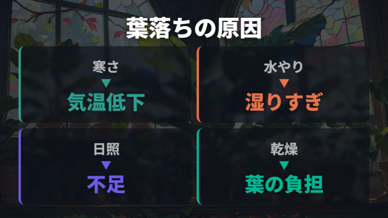 冬に葉が落ちる主な原因を寒さと水やりから見る