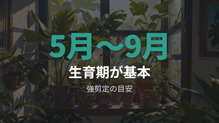 強剪定に向いている時期は5月〜9月が基本