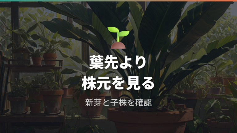 成長速度の目安と季節差をまず押さえる