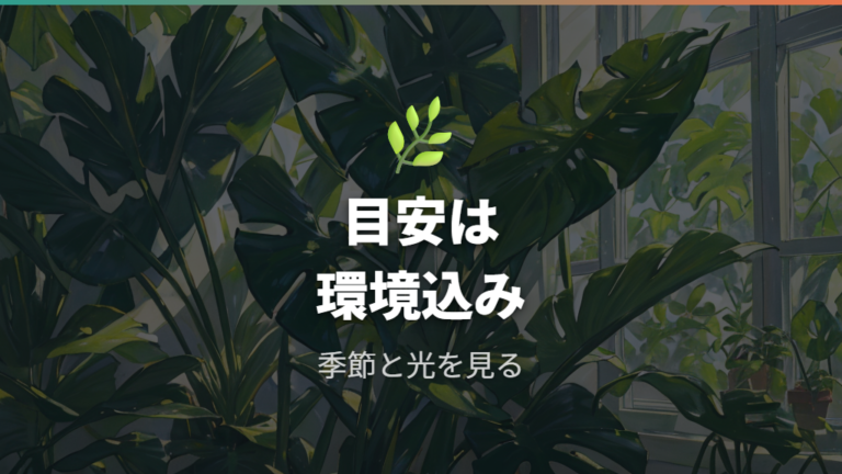 モンステラの成長速度の目安はどれくらいか