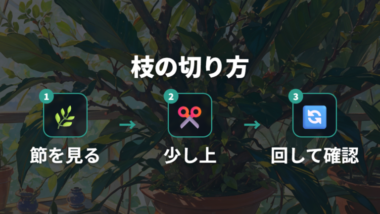 伸びすぎた枝の切り方は節の少し上が基本