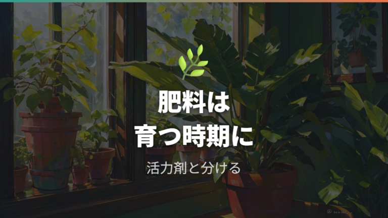 観葉植物に使う肥料の基本を押さえる