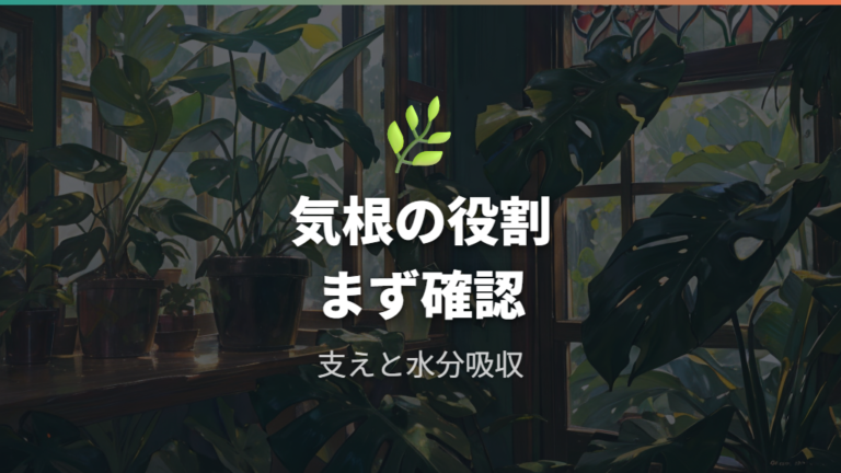 気根は切っても大丈夫?まず役割を知る