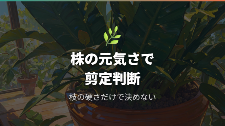 木質化した枝は剪定してよいかを株の状態で判断する