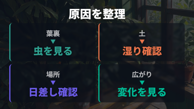 葉の斑点で疑う病気と原因をまず整理する