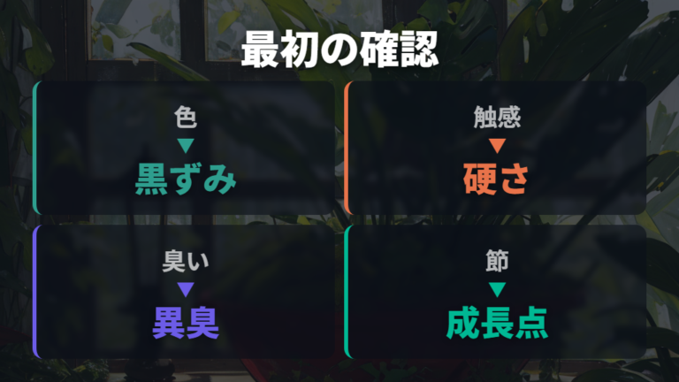 茎伏せが腐る原因と見分け方を最初に整理する