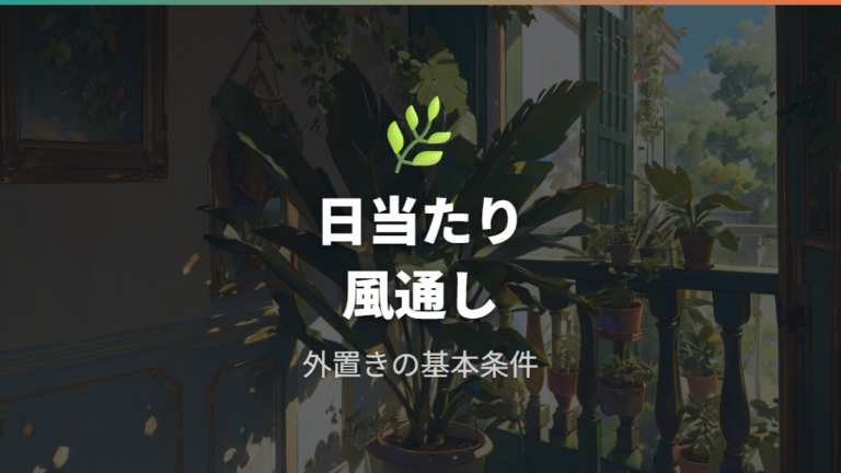 屋外で育てる基本条件は日当たりと風通し