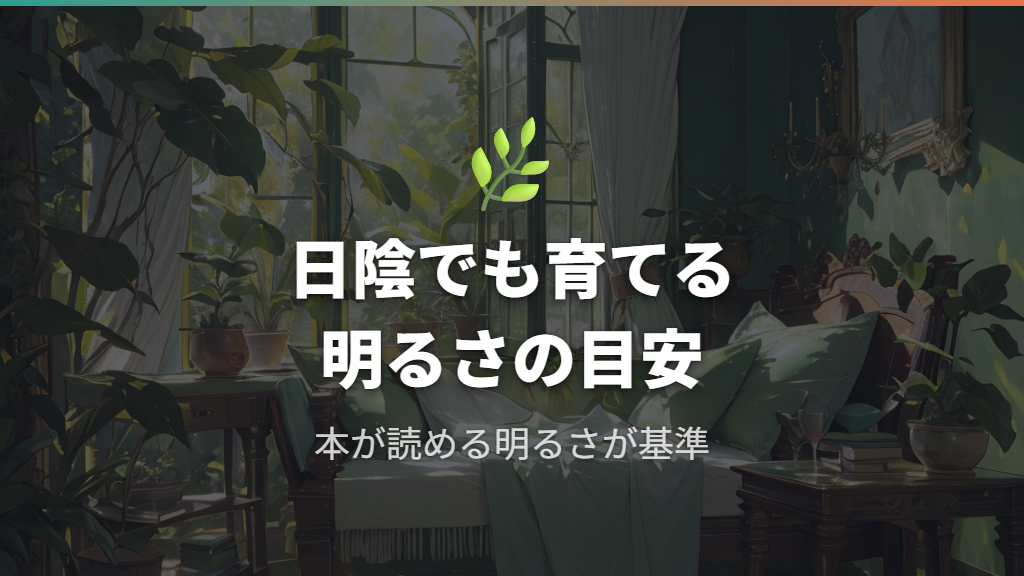 ガジュマルの育て方：日陰でも育つ明るさの基準
