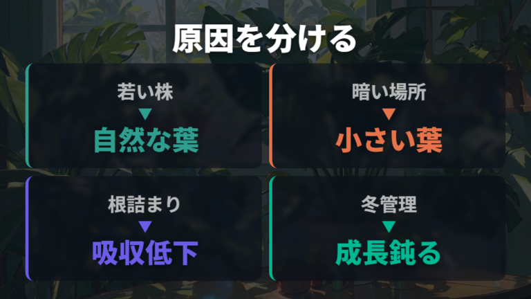 葉が小さいままの主な原因を先に整理する