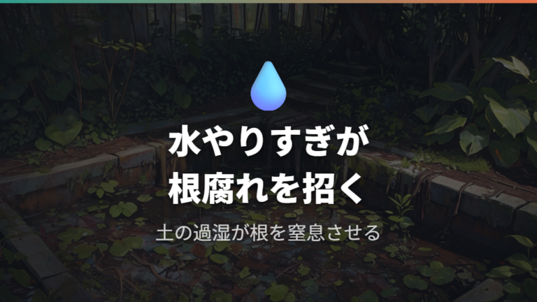 水のやりすぎが招く根腐れの仕組み