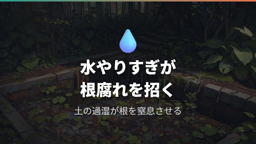 水のやりすぎが招く根腐れの仕組み