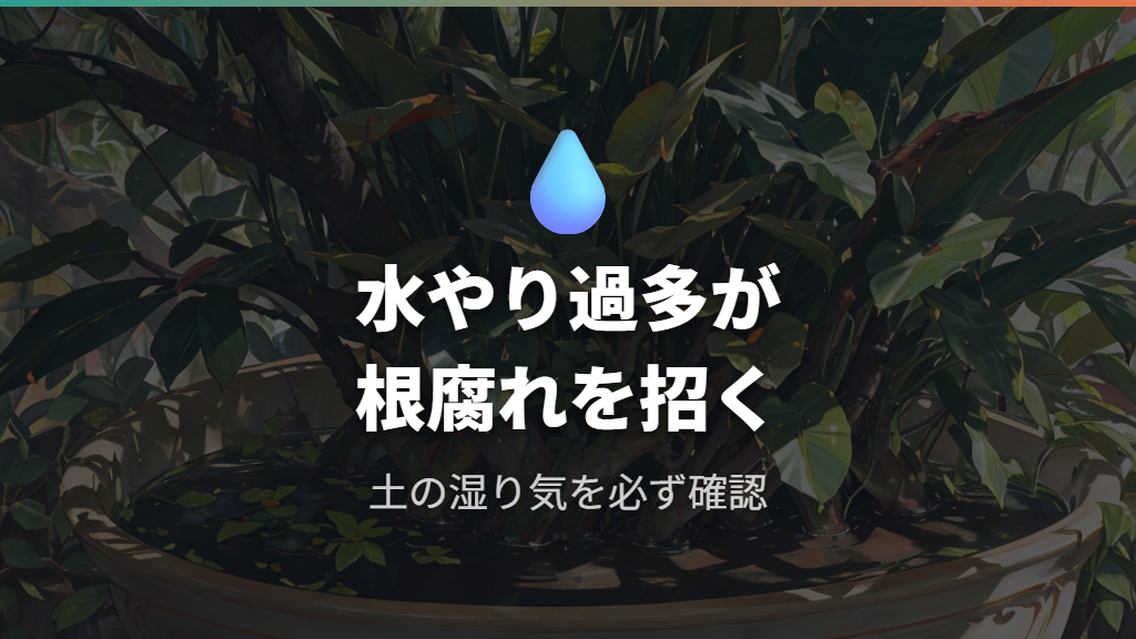ガジュマルの水やり頻度と根腐れによる黒ずみの関係