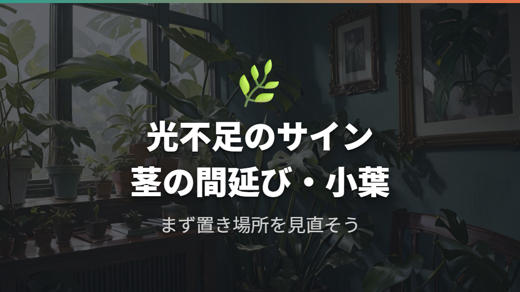 光量不足が招くモンステラの新芽が出ないサインと黄変