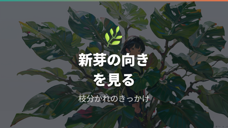 枝分かれで樹形を整えるコツは新芽の向きにある