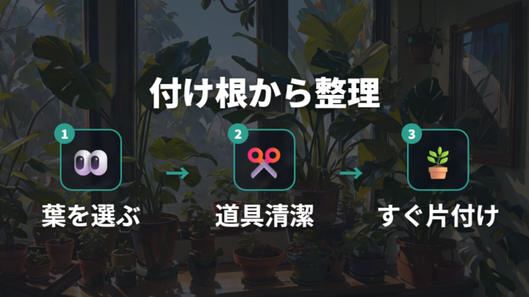 枯れた葉の正しい切り方は付け根から整理する