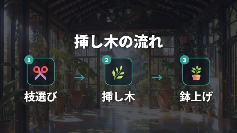 挿し木に適した時期と手順を先にそろえる