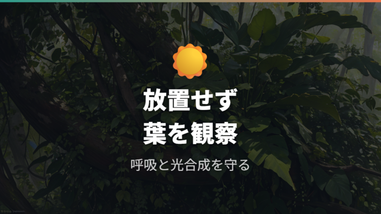 葉にほこりを放置するとガス交換や光合成を妨げる