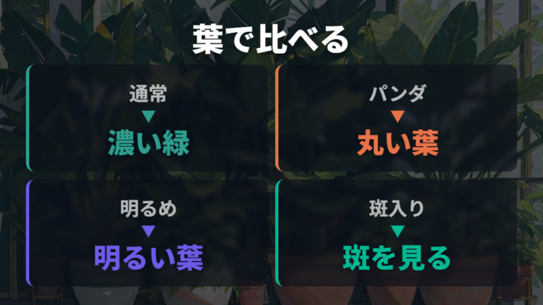代表的な違いは葉・根元・樹形(成長姿)で見分ける