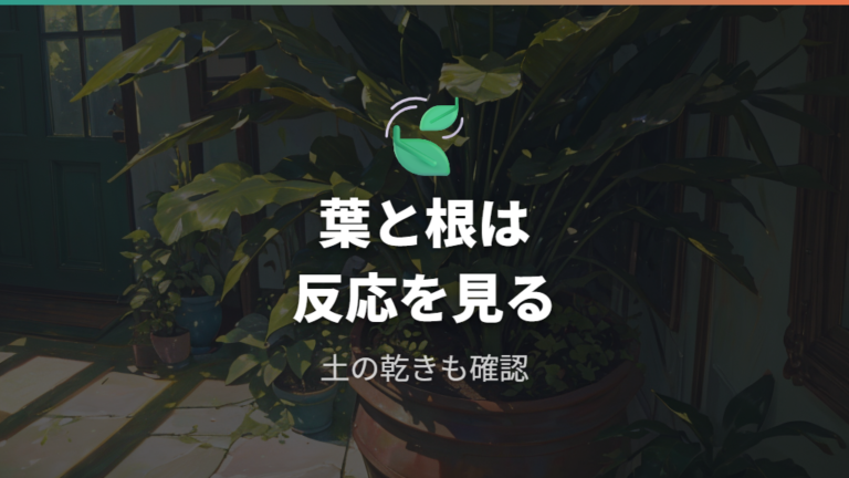 炭酸水が葉や根に与える影響は本当?