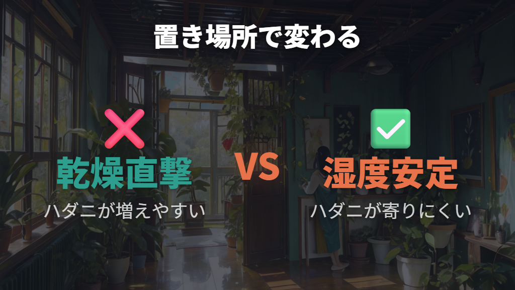 高温乾燥が招くウンベラータのハダニ対策の基本