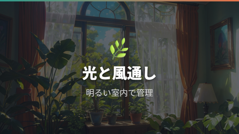 パキラを枯らさない基本管理は光と風通しが軸になる