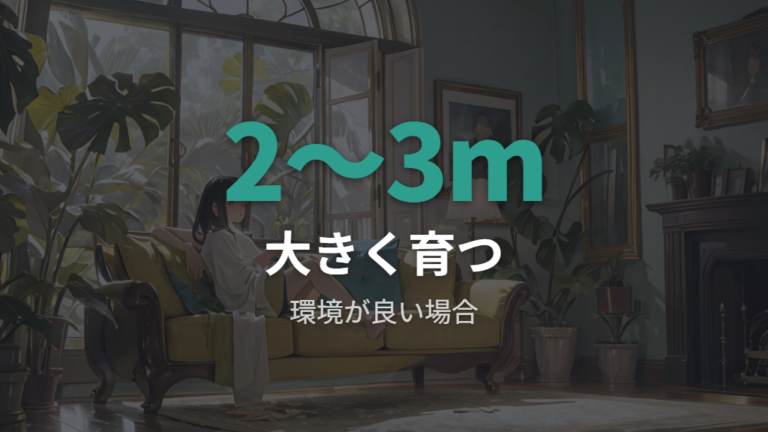 どのくらいで大きくなるのかを実例で見る
