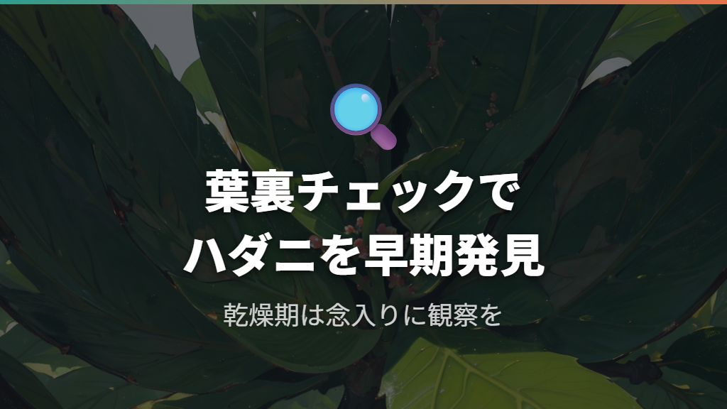 ハダニ被害でウンベラータの葉が丸まるメカニズム