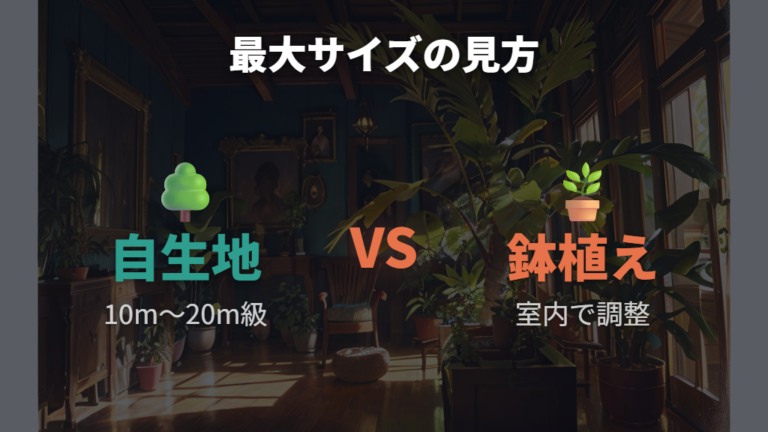パキラの最大サイズの目安は自生地と鉢植えで分けて考える