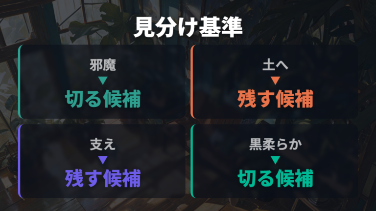 切っていい気根の見分け方は邪魔さと株の支えで決める