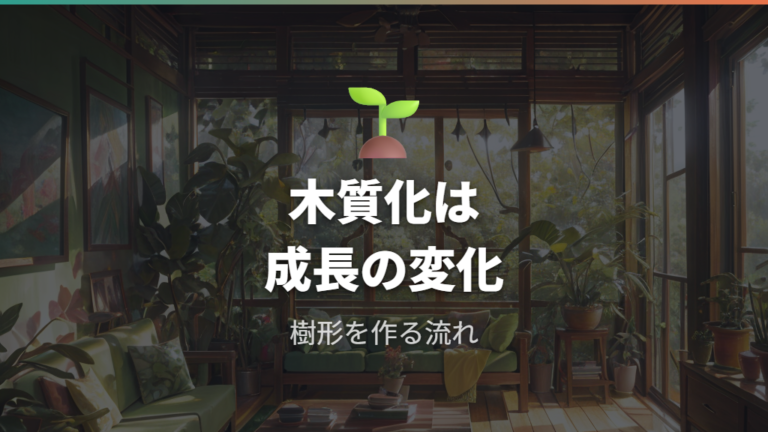 ガジュマルが木質化する理由は成長と樹形の変化にある