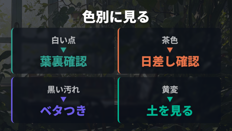 斑点の色で変わる症状の見分け方