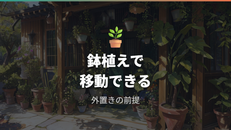 外に置ける環境の目安は鉢植え管理が前提
