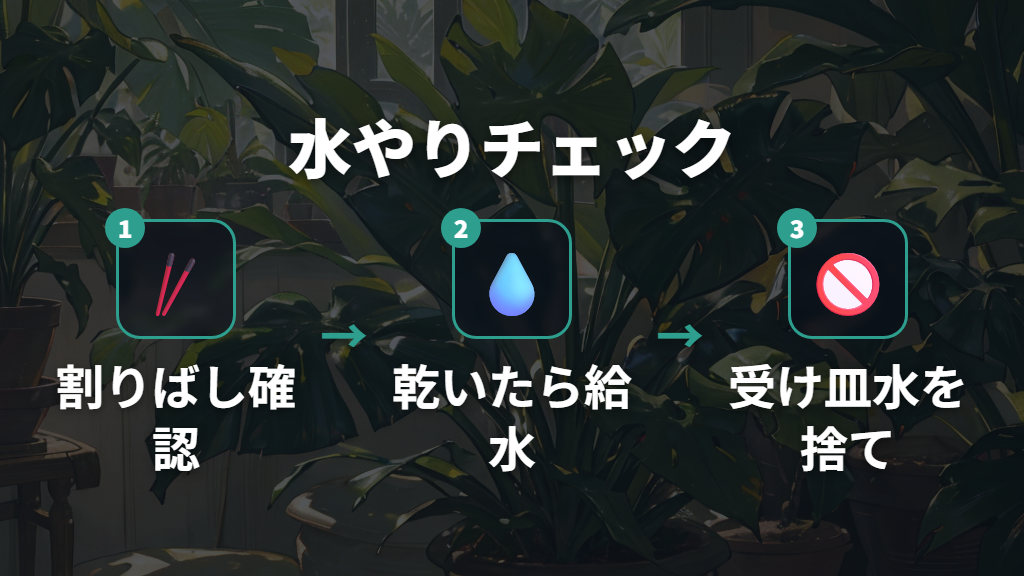 水やり過多でモンステラの葉っぱが茶色く変色する兆候と切り方