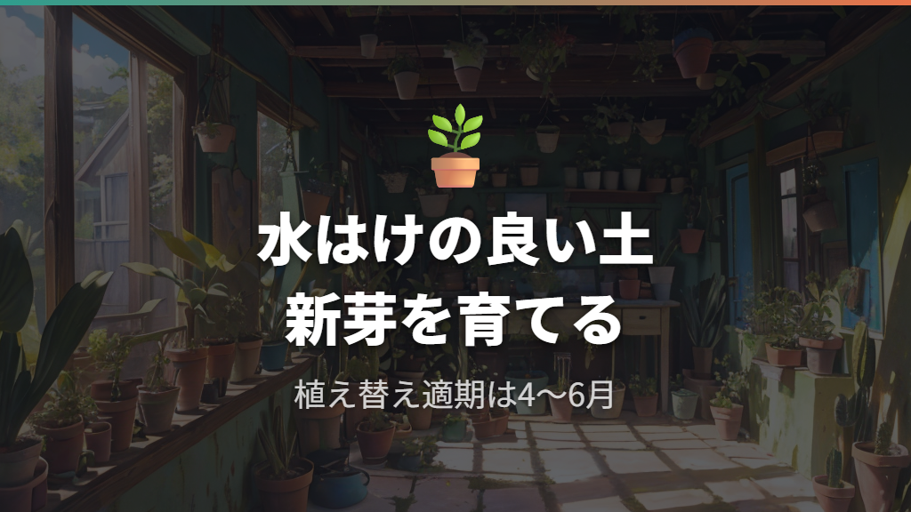 新芽が育つサンスベリアの土選びと配合