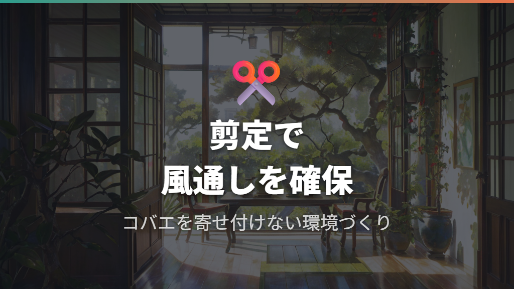風通し改善のためのガジュマル剪定と害虫予防