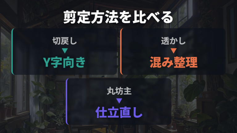 理想の樹形に近づける整え方を剪定方法で比べる