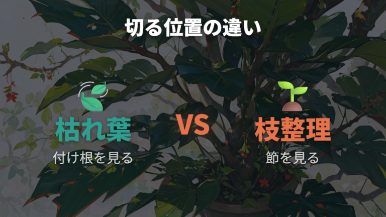 剪定ばさみで切る位置は節と付け根を見分ける