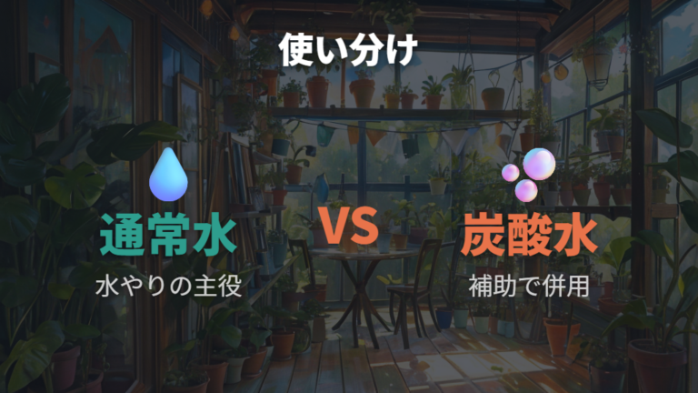 水やりの基本と炭酸水の使い分けを比べる