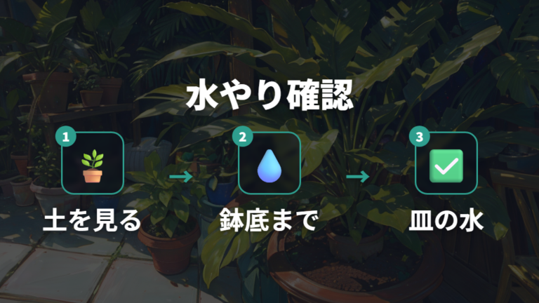 水やりと置き場所の目安を室内管理で押さえる